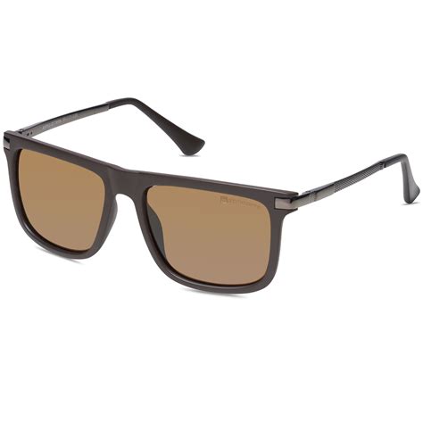 Alpine Sunglasses 